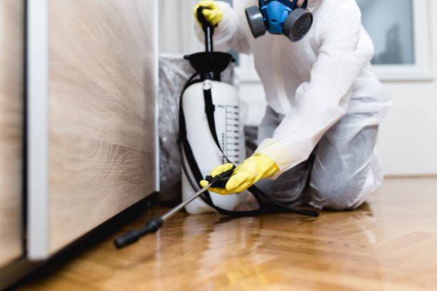Flea Control Services in Jekyll Island, GA