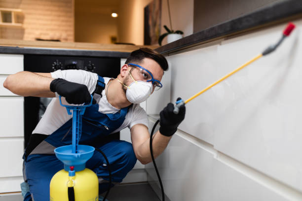 Best Wasp Removal Services  in Jekyll Island, GA