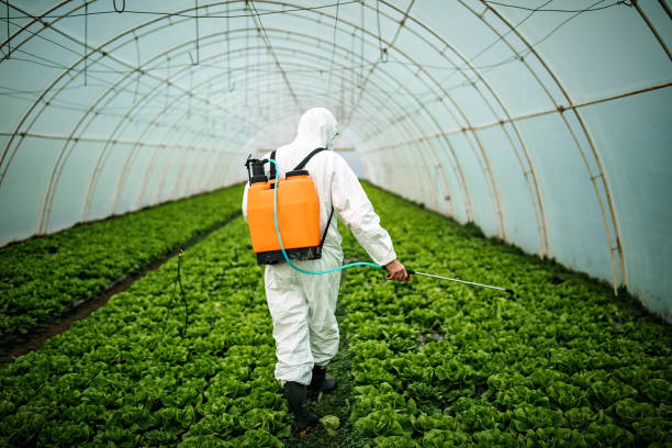 Best Best Pest Control Companies  in Jekyll Island, GA