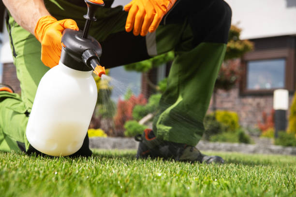 Best Exterminator Services  in Jekyll Island, GA