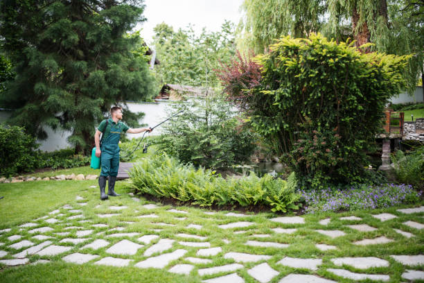 Best Best Pest Control Companies  in Jekyll Island, GA
