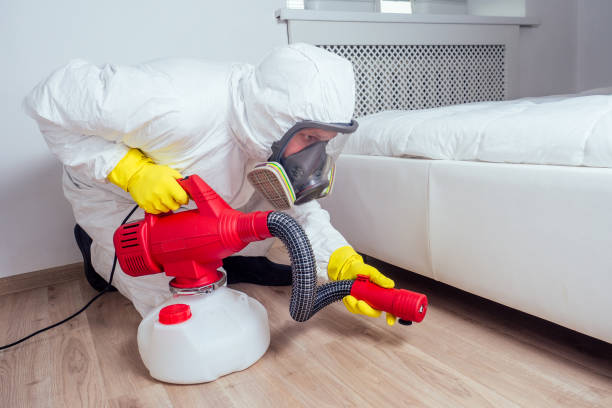Best Wasp Removal Services  in Jekyll Island, GA