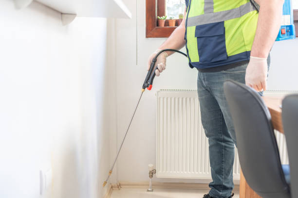 Best Local Pest Control Services  in Jekyll Island, GA