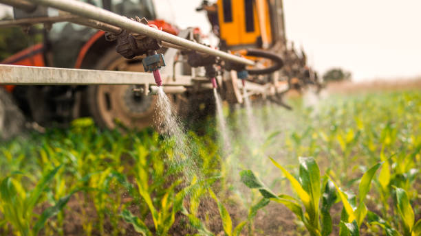 Best Ant Control Services  in Jekyll Island, GA