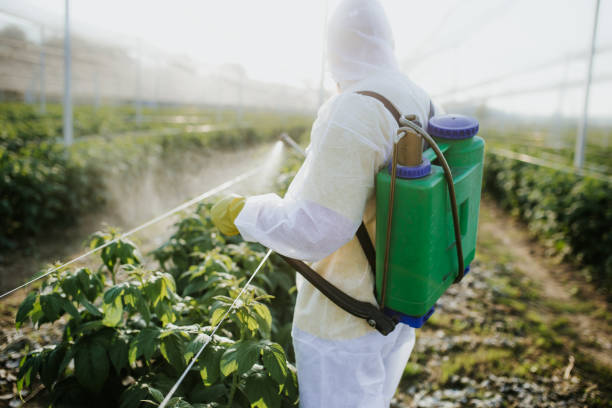 Best Commercial Pest Control Services  in Jekyll Island, GA